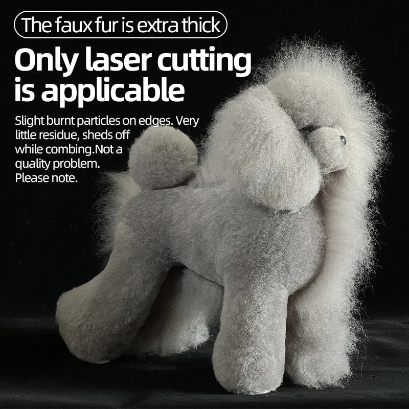 Pet Dog Model Hair Beautician Practice - ProPawPet.com