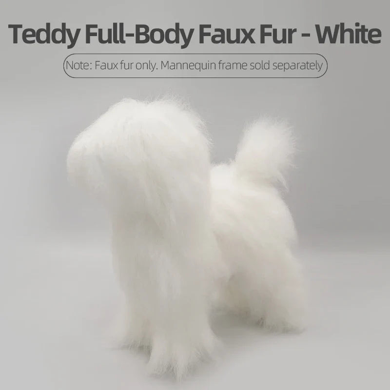 Pet Dog Model Hair Beautician Practice - ProPawPet.com