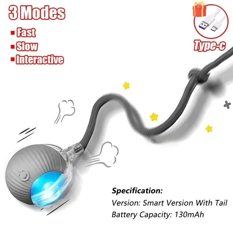 Indoor Interactive Birds Toy for Cat Chasing - ProPawPet.com