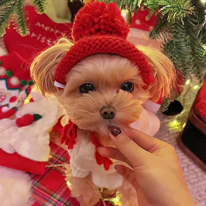Pet Knitted Hat Dog Cute Fur Ball Head Cover - ProPawPet.com