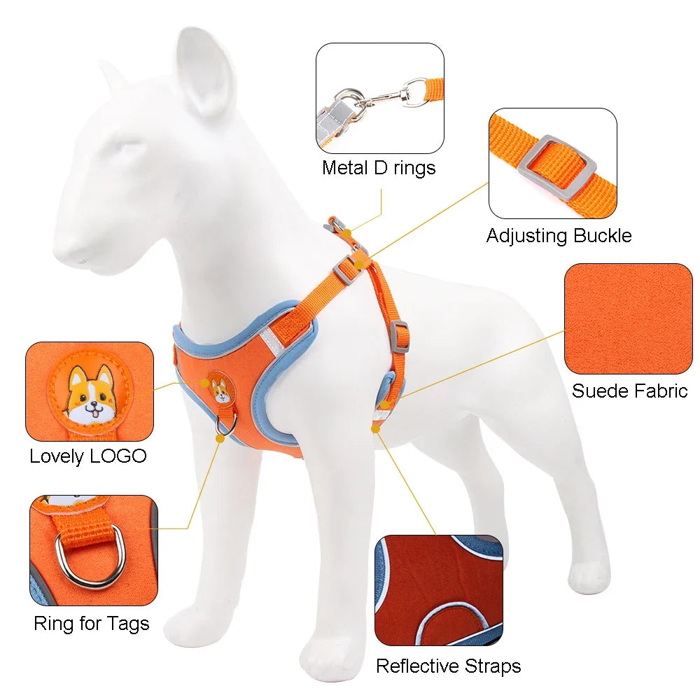 Cat Harness Small Dog Leash Pomeranian Puppy - ProPawPet.com