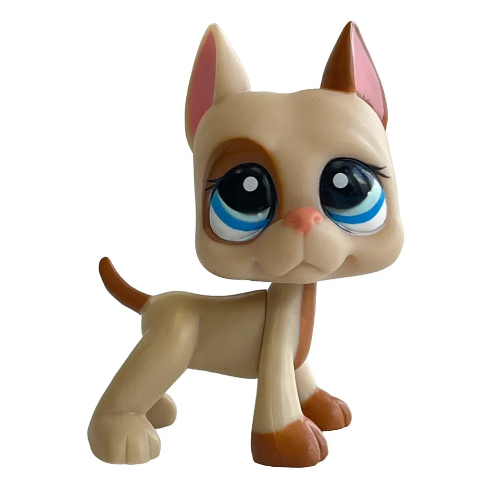 Rare Pet Original Pet Bobble Head Toy Custom - ProPawPet.com
