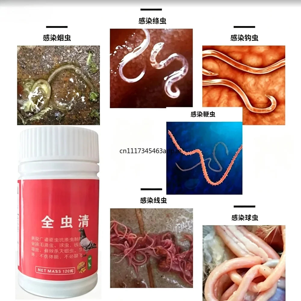 Pigeon Roundworm Tapeworm Nematode Body Worm - ProPawPet.com