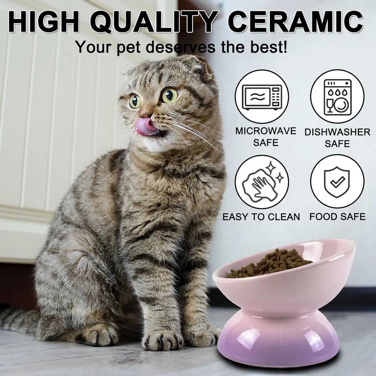 Ceramic Elevated Cat Bowls Tilted Cat Food - ProPawPet.com