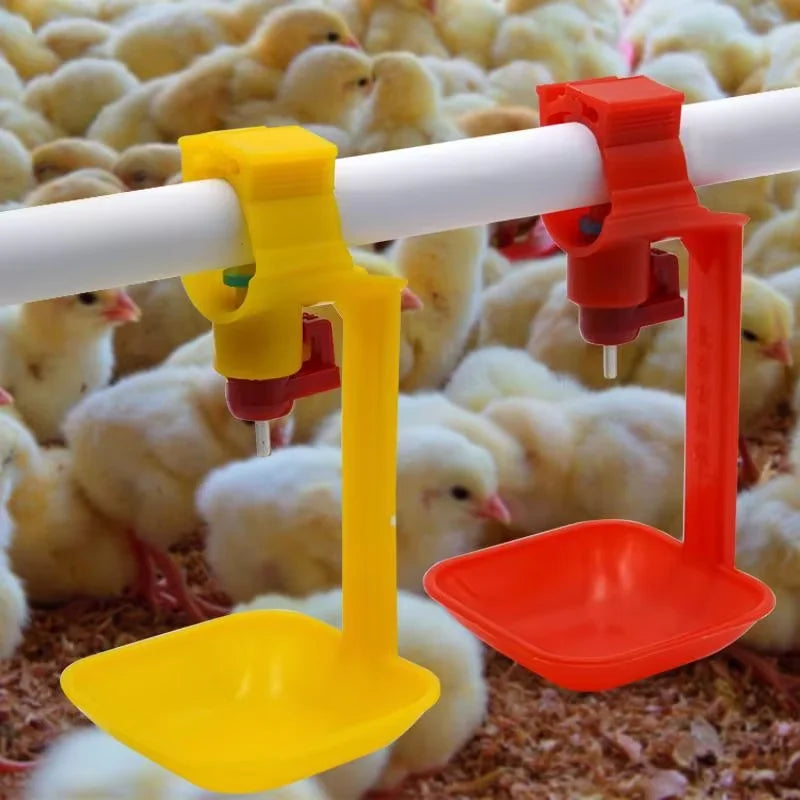 Chicken Drinker - 10/20Pcs Chicken Nipple - ProPawPet.com