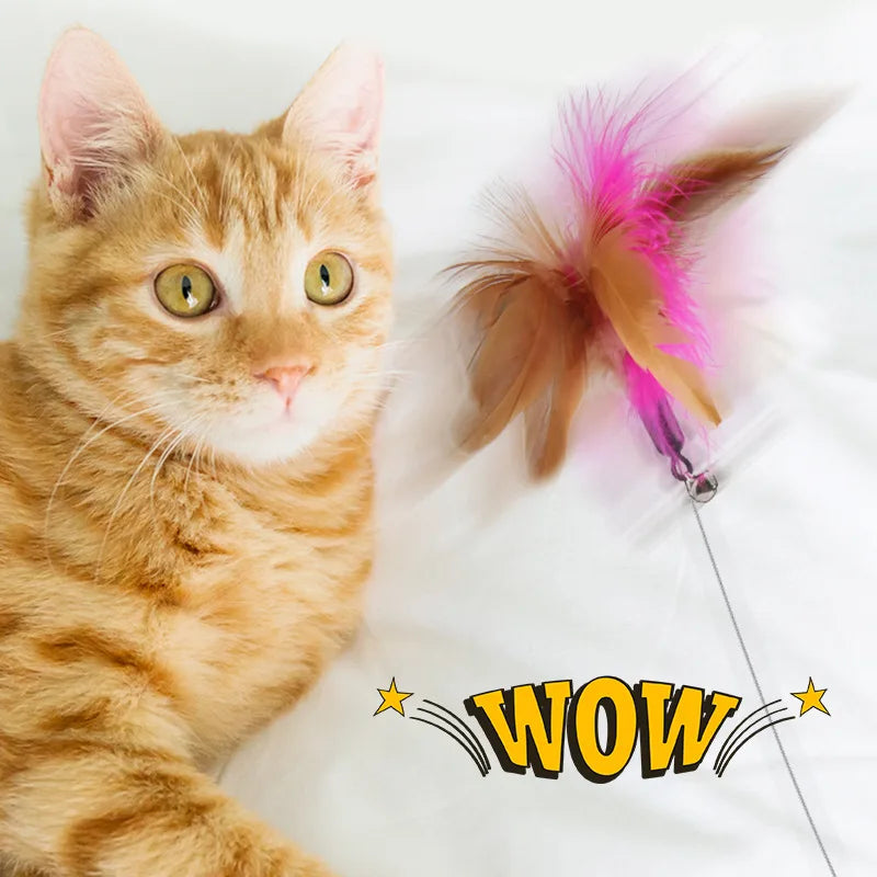Interactive Cat Toys Funny Feather Teaser - ProPawPet.com