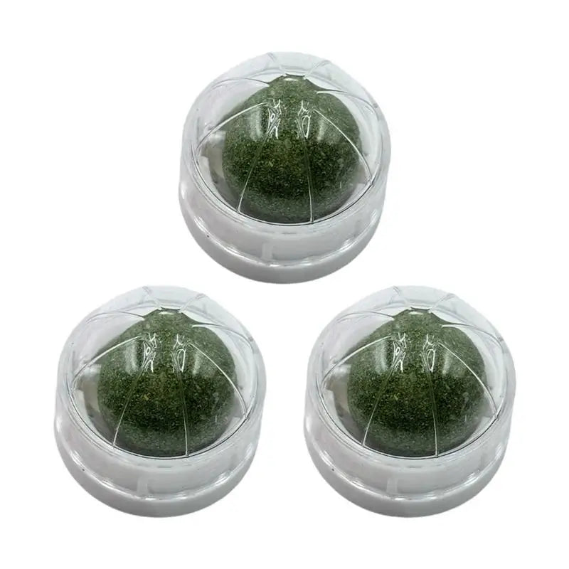 Set of 3 Interaction Cats Chew Toy Mint Balls – Cat Toys & Play
