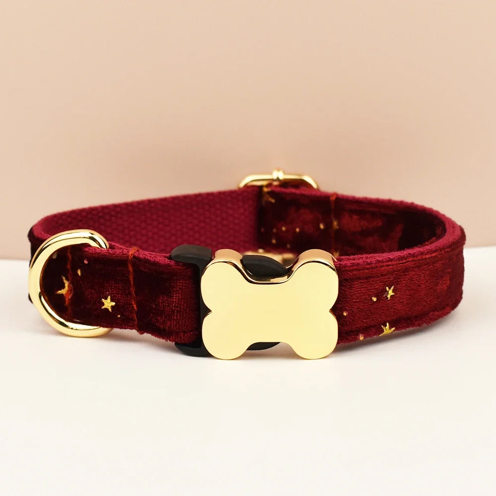 Premium Custom Engraved Dog Collar for Small - ProPawPet.com