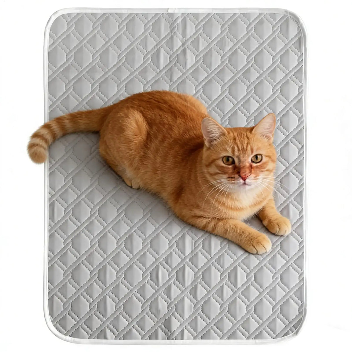 Dog Mat Cooling Summer Pad Mat For Dogs Cat - ProPawPet.com