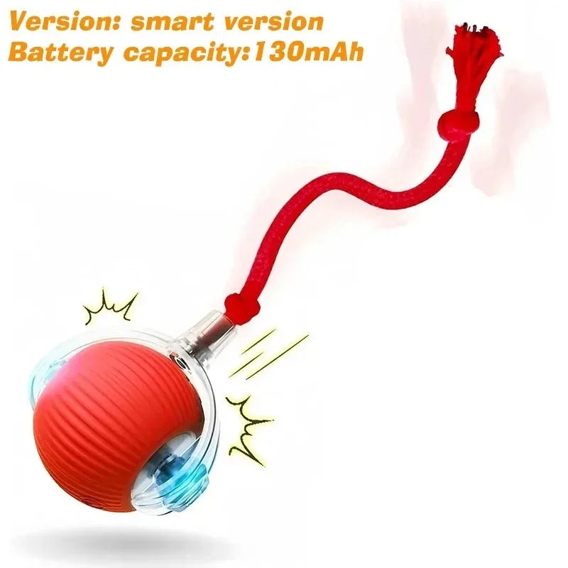 Dog Interactive Ball Toy Automatic Rolling Smart Pet Teaser, Rechargeable