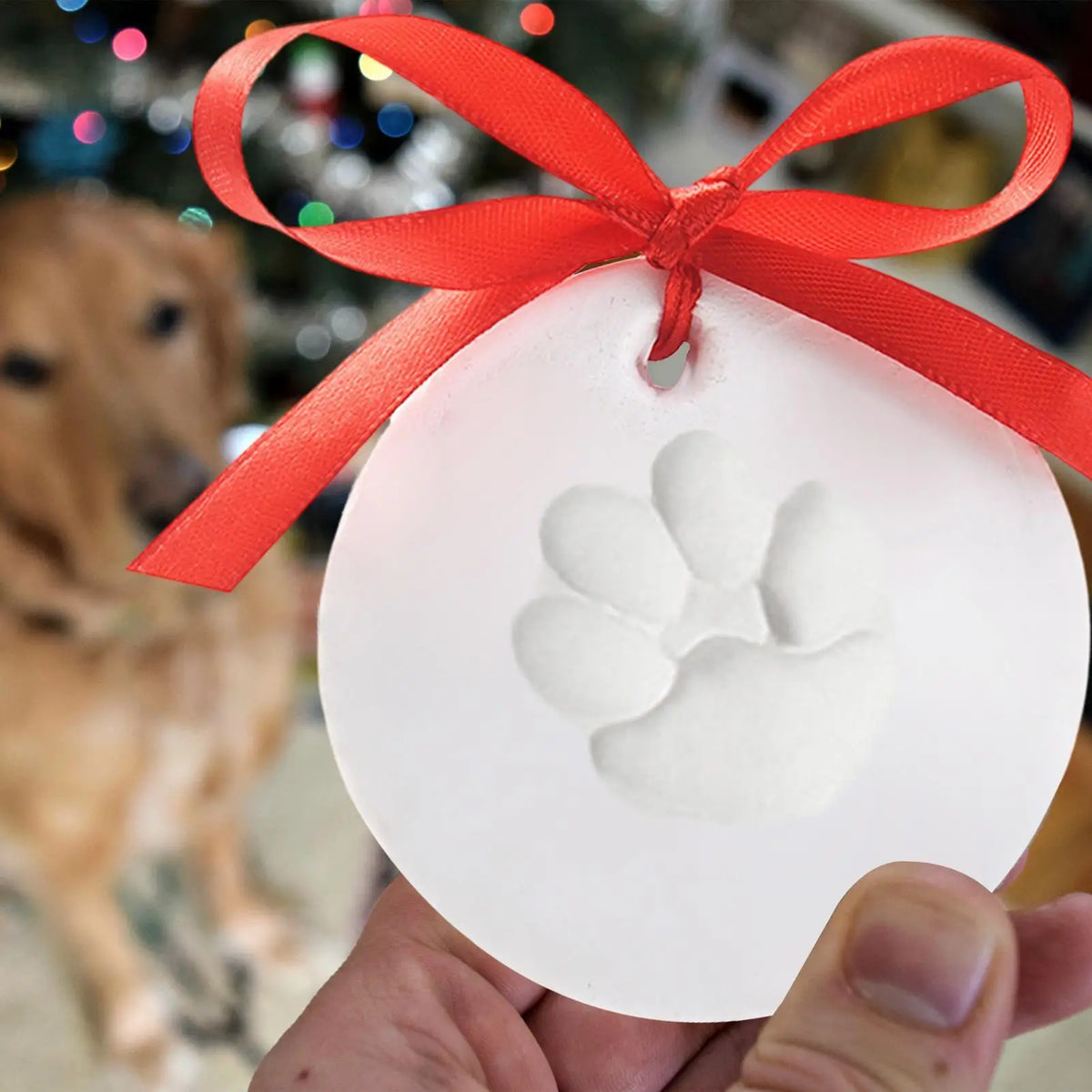 Creative Pet Footprints Impression Clay Kit - ProPawPet.com