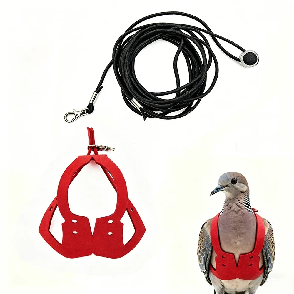 Ultra Lightweight 4g Adjustable Parrot - ProPawPet.com