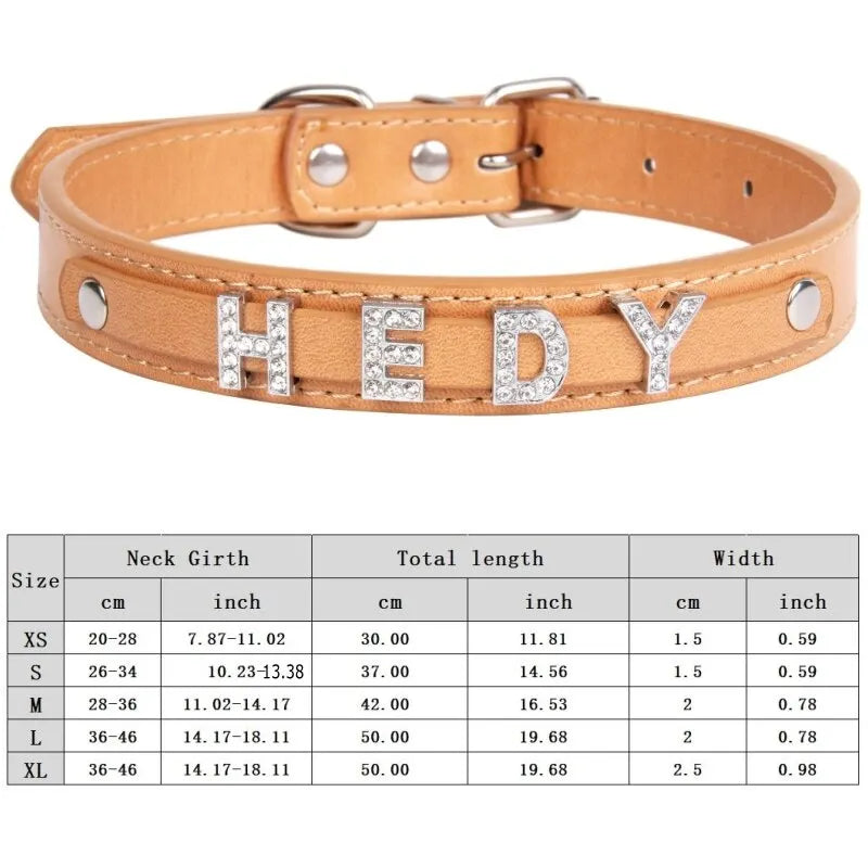 Custom Cat Dog Collar Personalized - ProPawPet.com