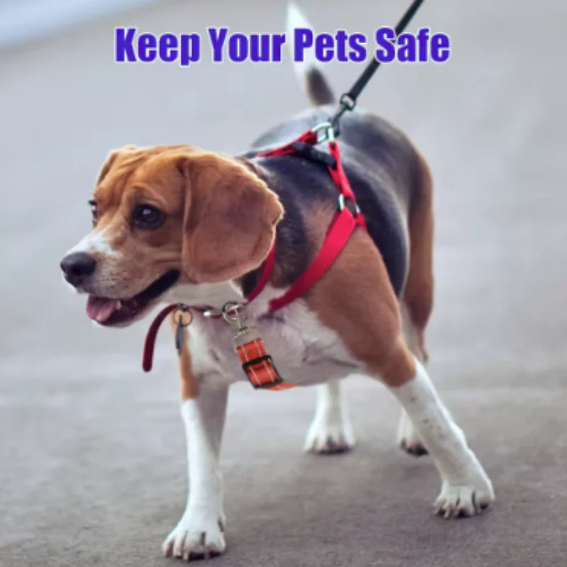 Adjustable Double Hook Telescopic Extension - ProPawPet.com