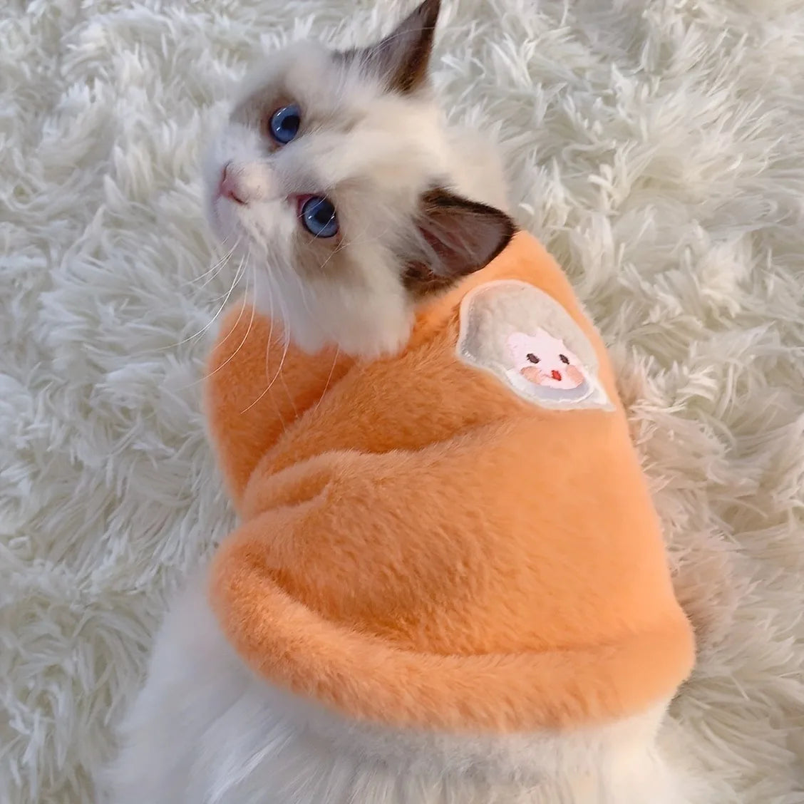Cats Accessories Pets Warm Kittens Clothes - ProPawPet.com