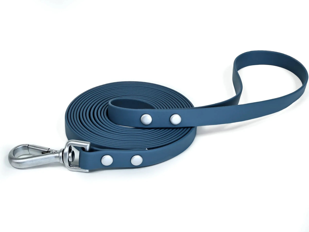 Studded Rivet PVC Dog Leash Waterproof - ProPawPet.com