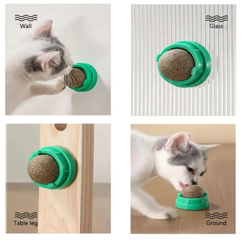 KEMORELA Catnip Cat Wall Stick-on Ball Toy - ProPawPet.com