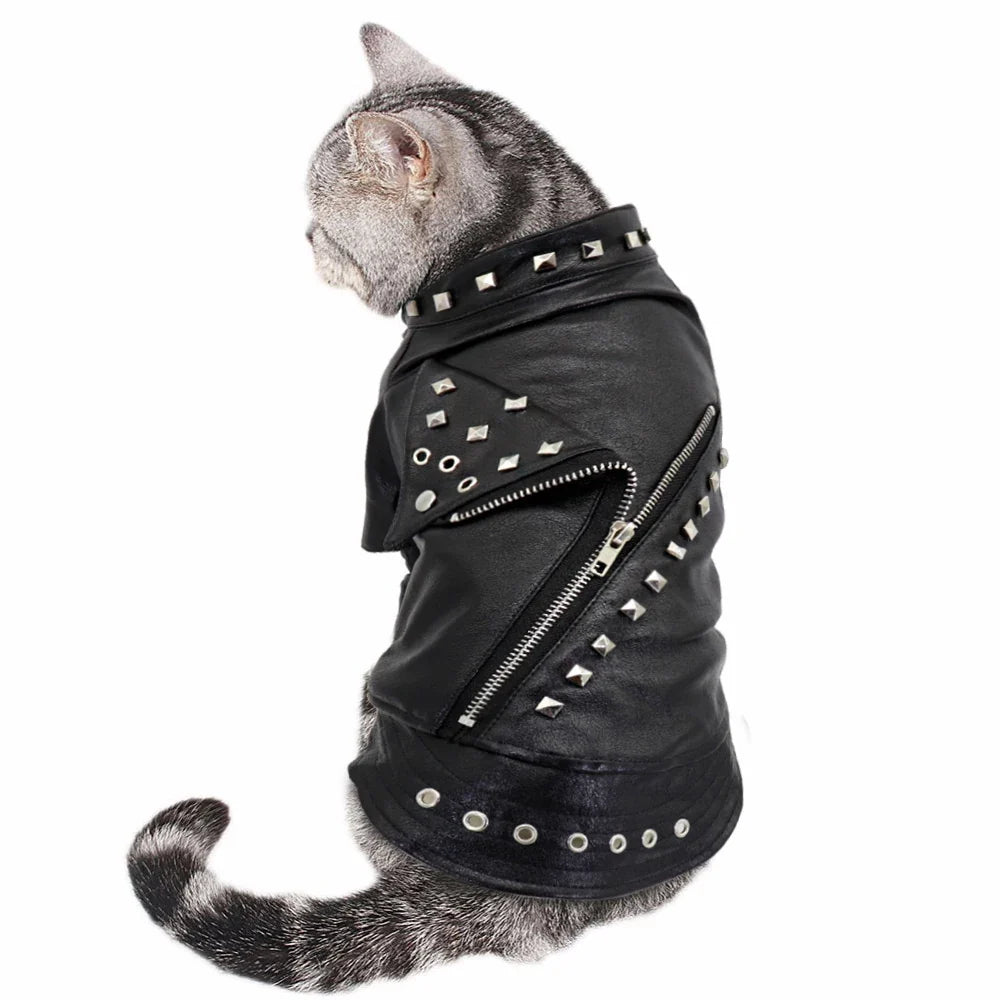Cool Dog Leather Jacket Coat Warm Winter Pet - ProPawPet.com