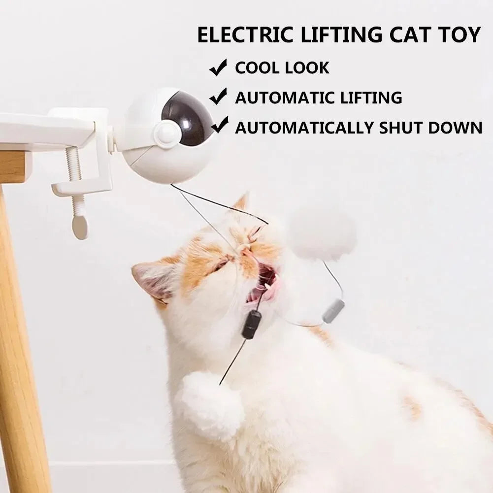 Electronic Motion Cat Toy YoYo Lifting Ball - ProPawPet.com