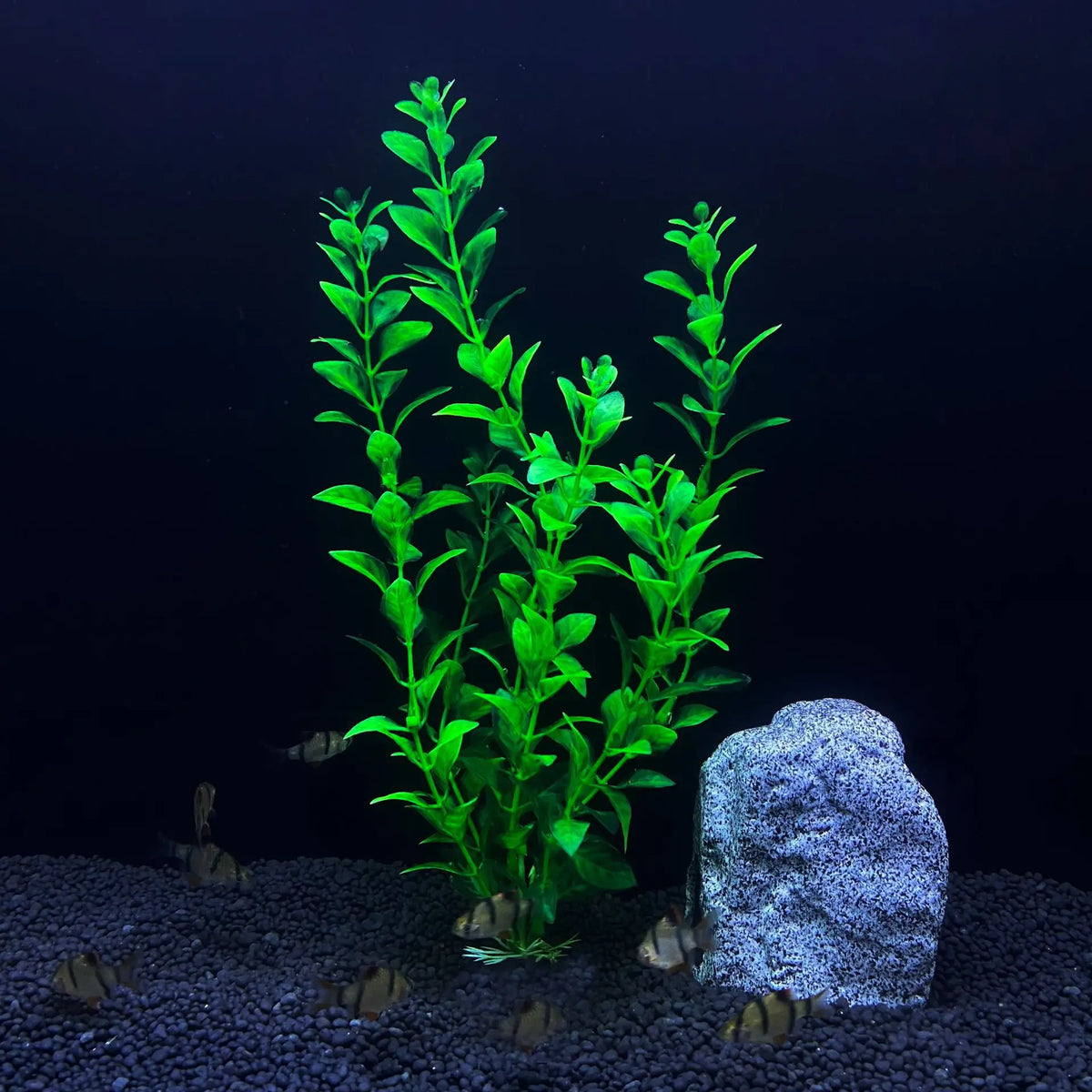 30cm High Aquarium Simulated Water Plants - ProPawPet.com