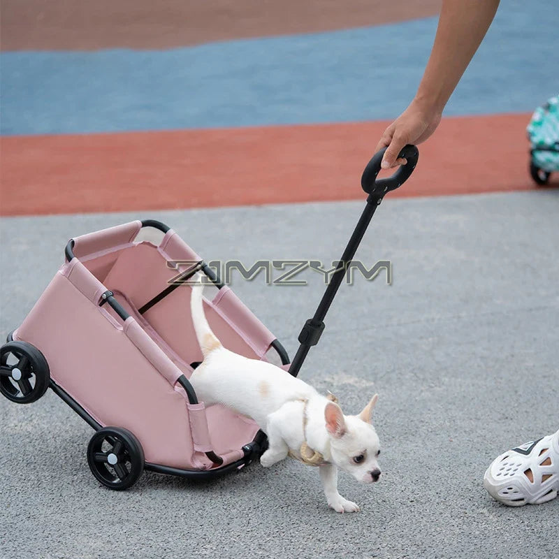 Foldable Pet Jogger Stroller Carrier for - ProPawPet.com