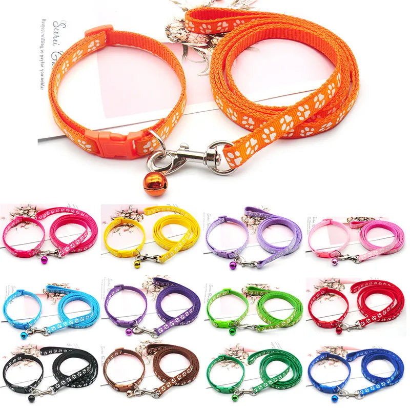 Cute Dog Paw Print Pet Traction Rope Puppy - ProPawPet.com