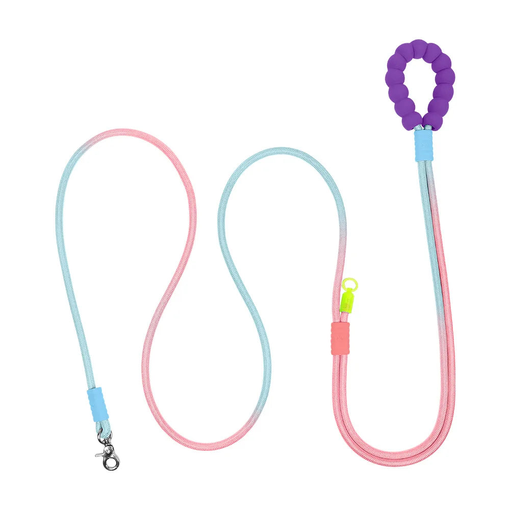 Heavy Duty Gradient Reflective Dog Leash - ProPawPet.com