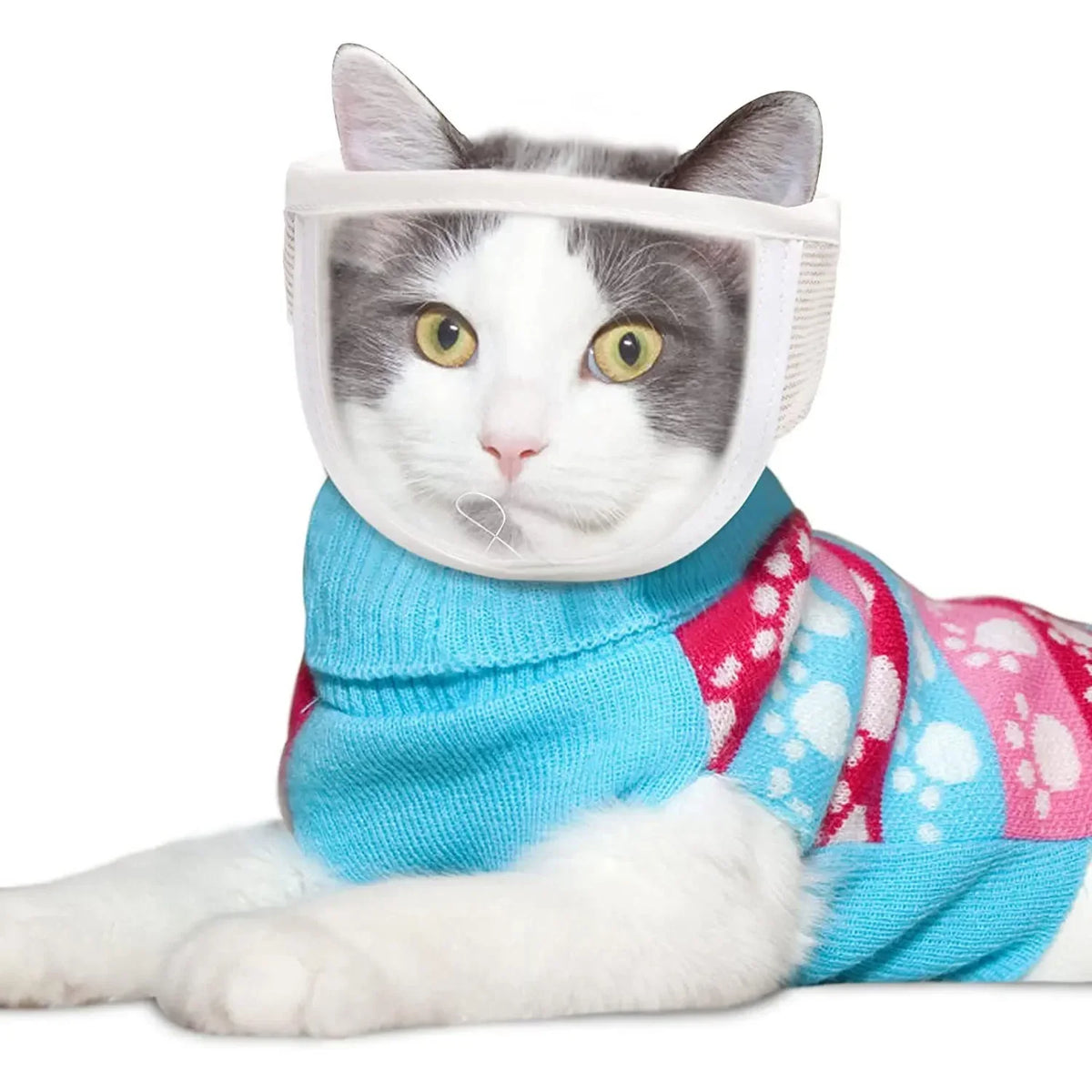 Adjustable Breathable Clear Cat Muzzle