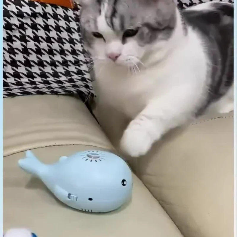 Cat Electric Toy Portable Floating Ball Cat - ProPawPet.com