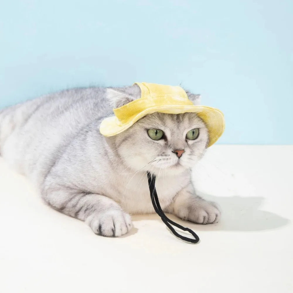 Pets Hat with Ear Holes Adjustable Baseball - ProPawPet.com