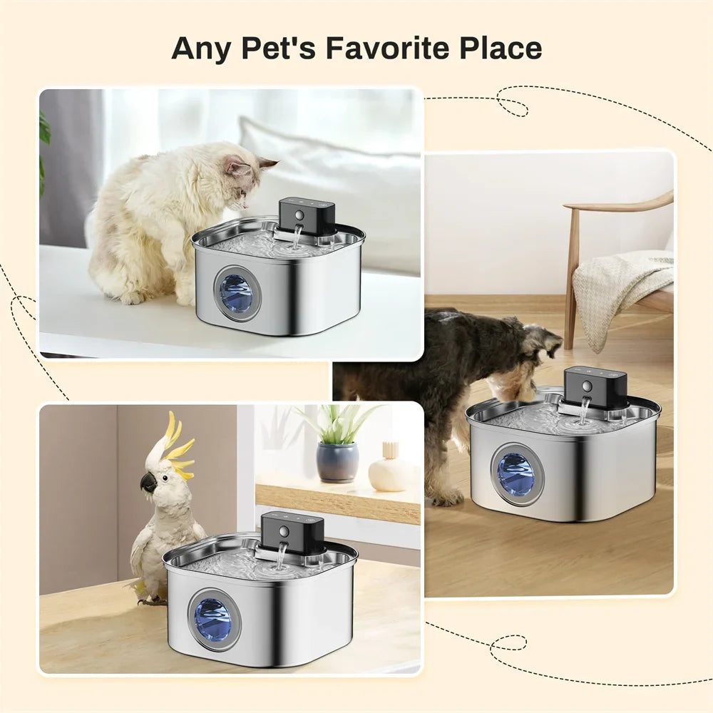 Wireless Stainless Steel Pet Water Fountain, - ProPawPet.com