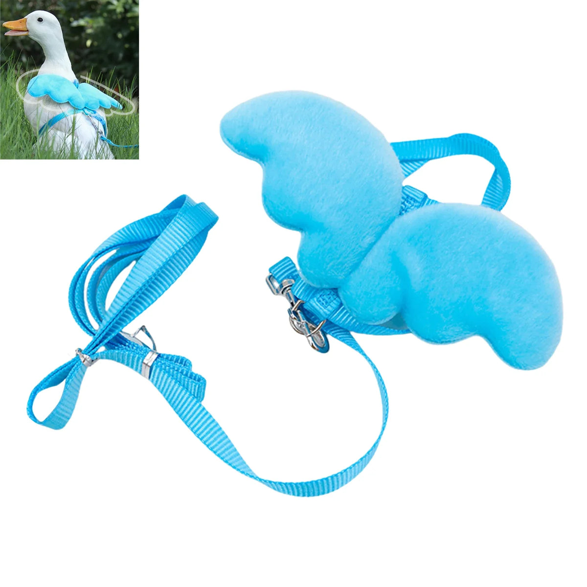 Angel Wing Pet Duck Walking Harness With - ProPawPet.com