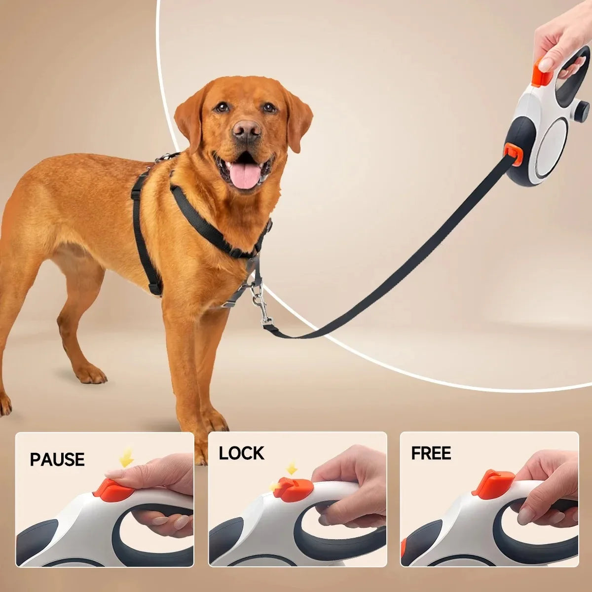 5m 8m 50kg Dog Leash Retractable Roulette - ProPawPet.com