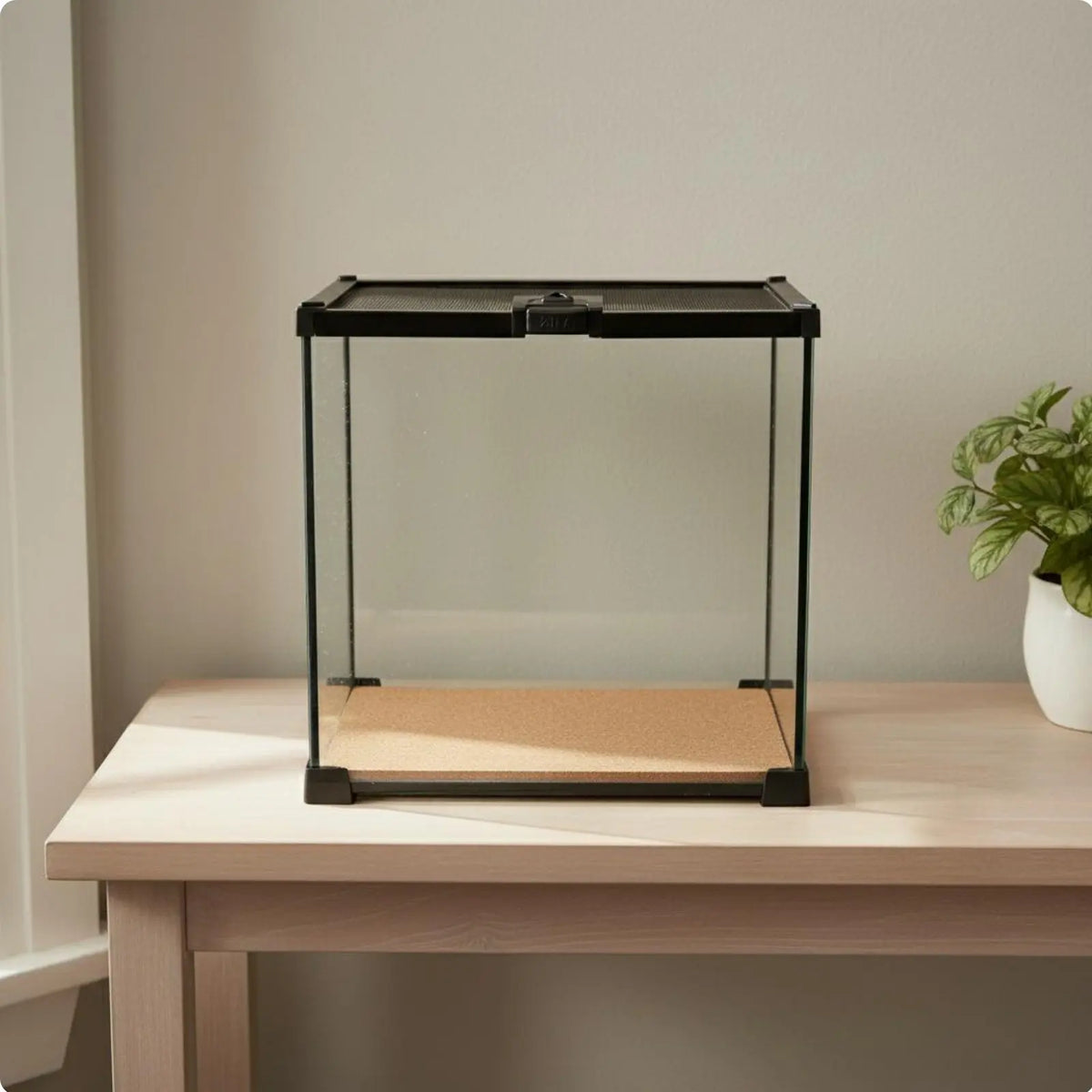 Glass Amphibian Terrarium – 8 Colors