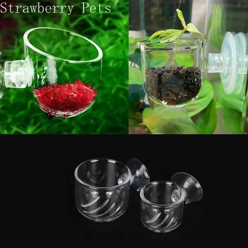 Aquarium Decoration Hanging Fish Tank Mini - ProPawPet.com