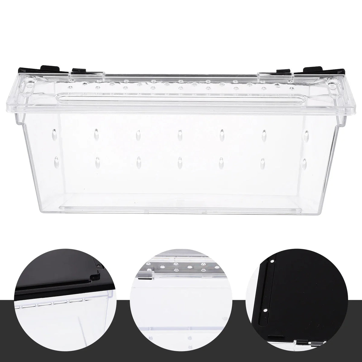 ABS Reptile Breeding Box Lightweight - ProPawPet.com