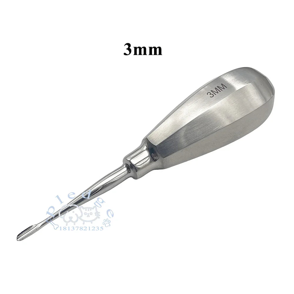 1PCS Lab Experiment Rodent Rat Rabbit Totoro - ProPawPet.com