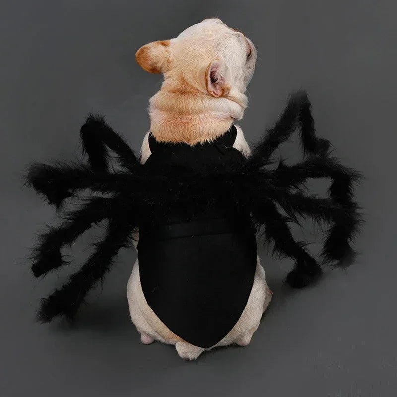 Pet Spider Costume Realistic Furry Design - ProPawPet.com