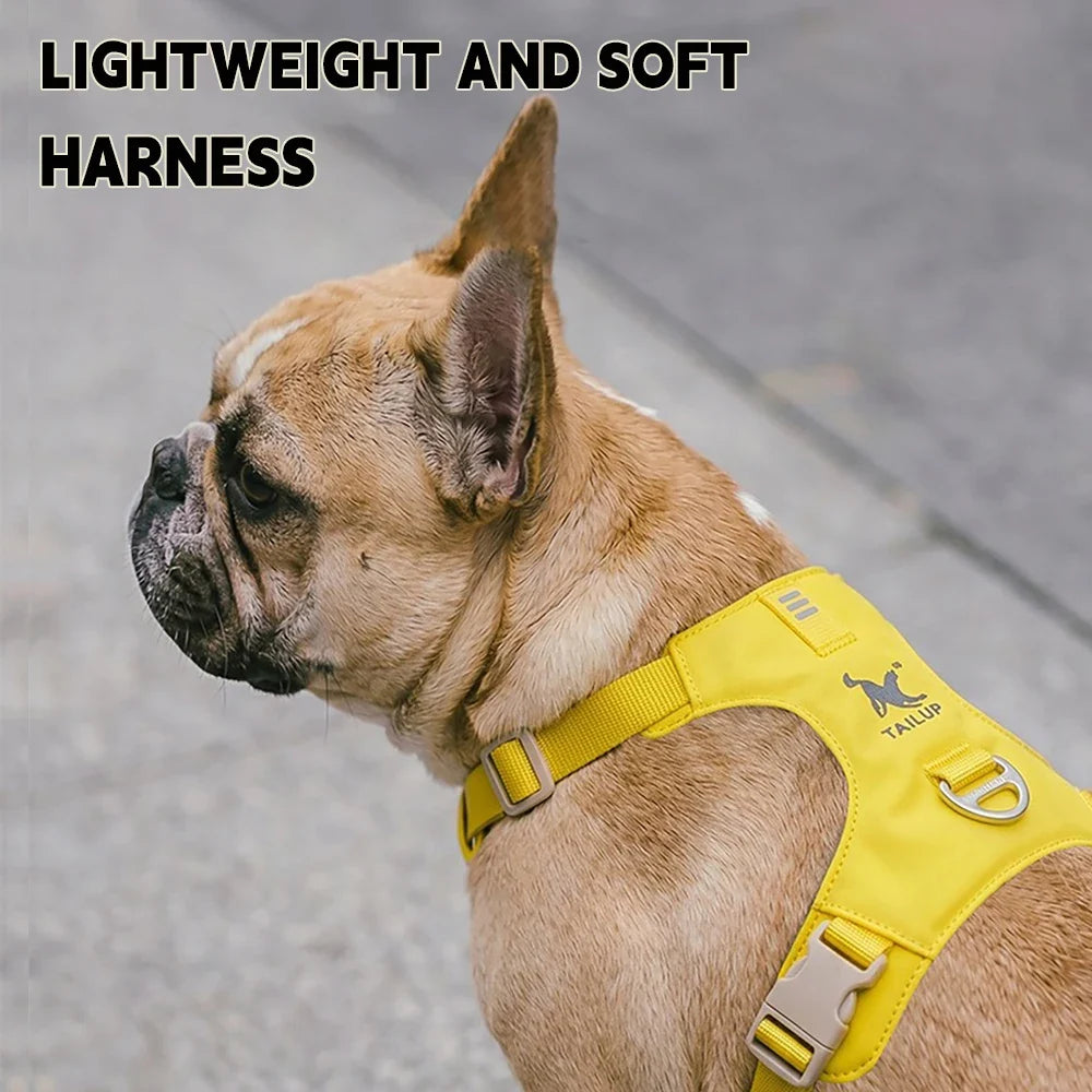 Lightweight Dog Harness & Leash Set - ProPawPet.com