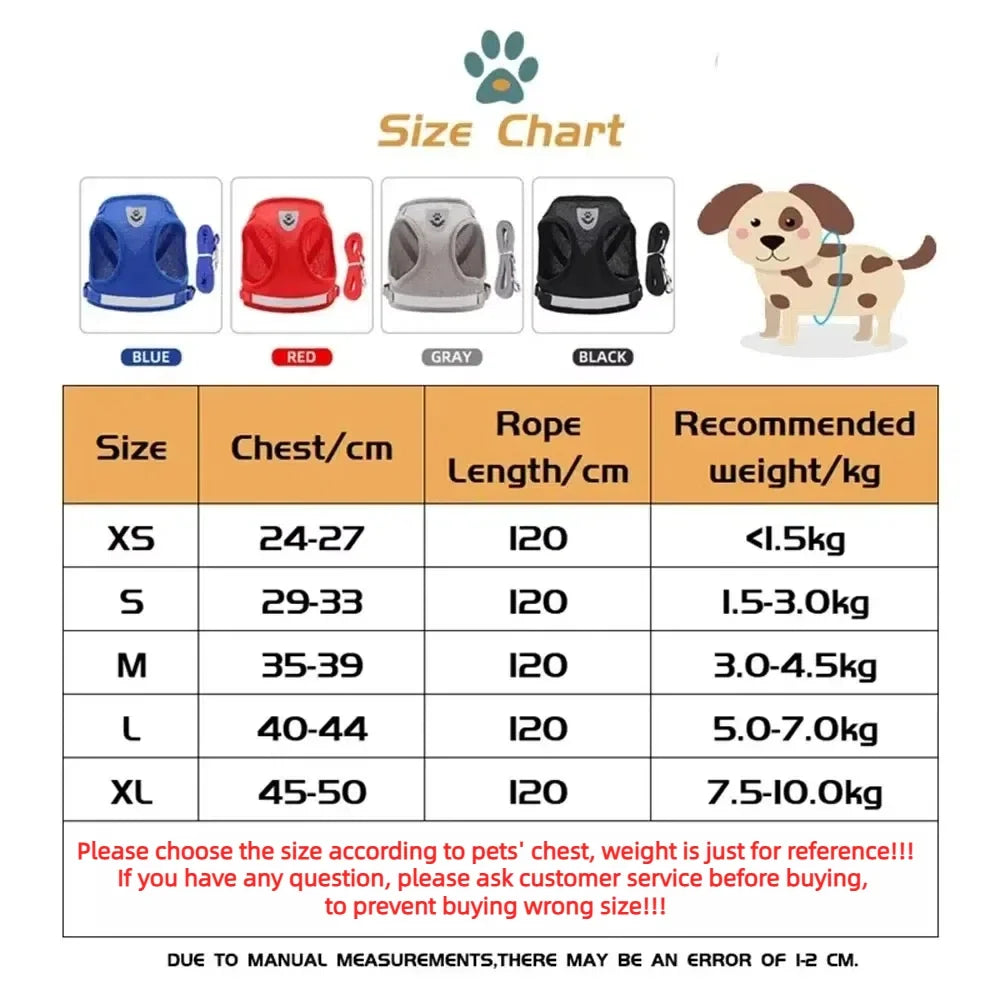 Cat Harness Lead Leash Set Adjustable - ProPawPet.com