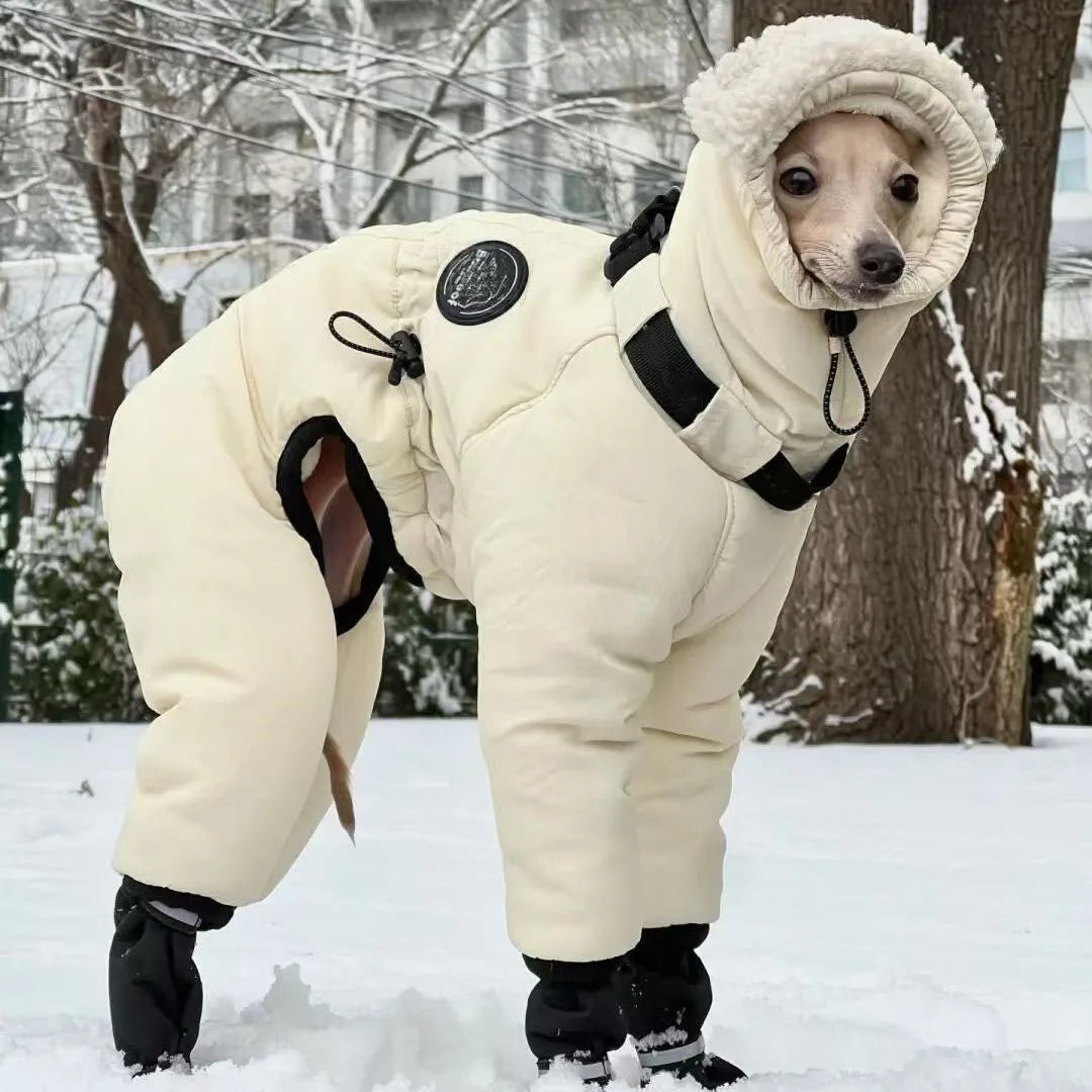 Winter Dog Jacket,Thickened Warm Dog Clothes - ProPawPet.com