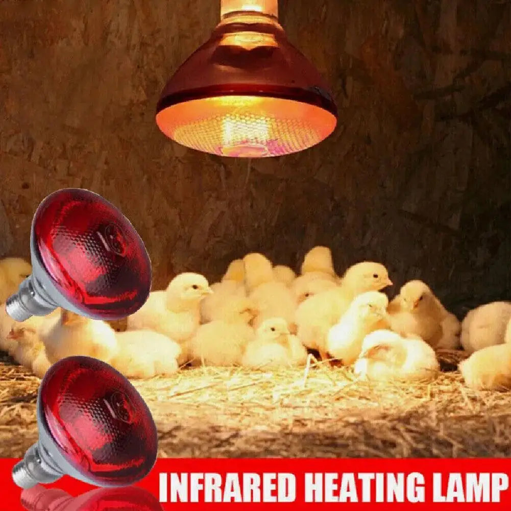 100w 150w 175w 200w 250w 275w Pet Red - ProPawPet.com