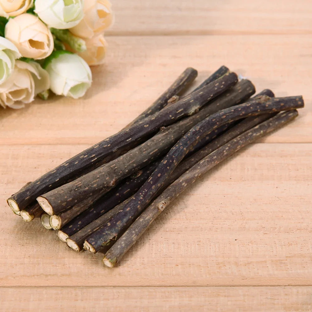 10-50PCS Natural Cat Catnip Toy Kitten Molar - ProPawPet.com