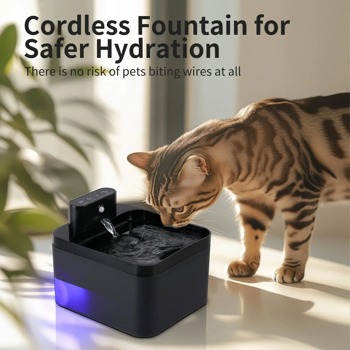 2.2L Wireless Cat Water Fountain Battery & - ProPawPet.com