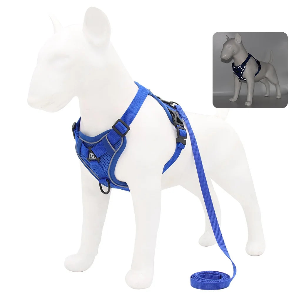 Harness and Leash Set Pet Accessories Dog - ProPawPet.com
