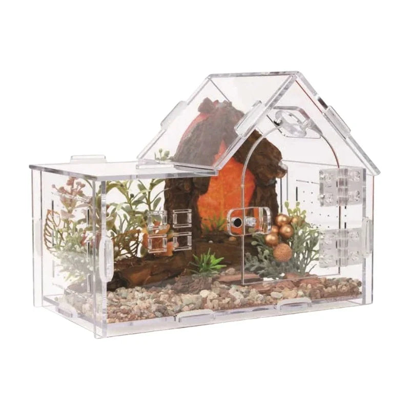 Reptiles Terrarium Clear Observation Design Breeding Box – 2 Colors