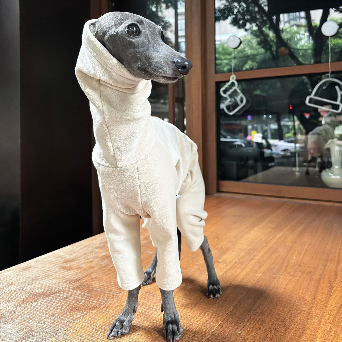 Dog Clothes for Italian Greyho with Hat Pure - ProPawPet.com