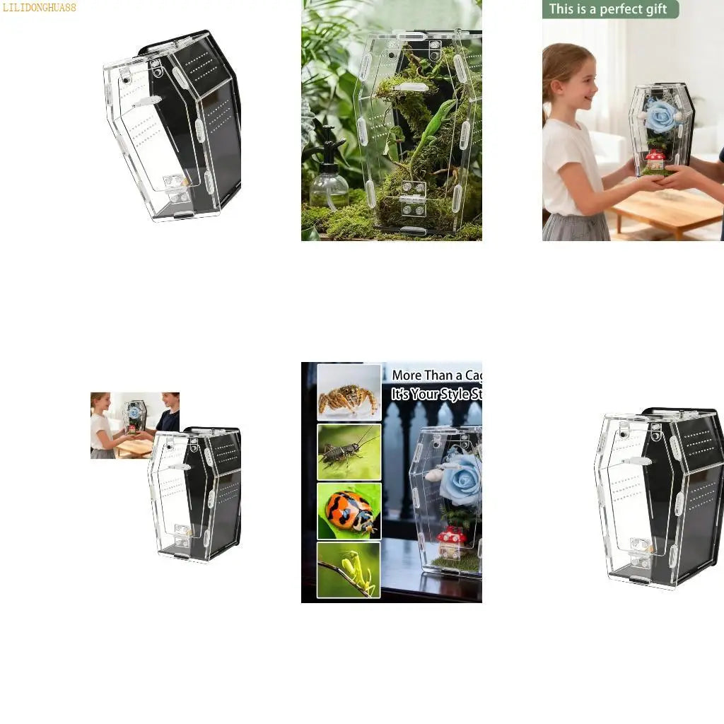 J1HA Terrarium with Mushroom House and - ProPawPet.com