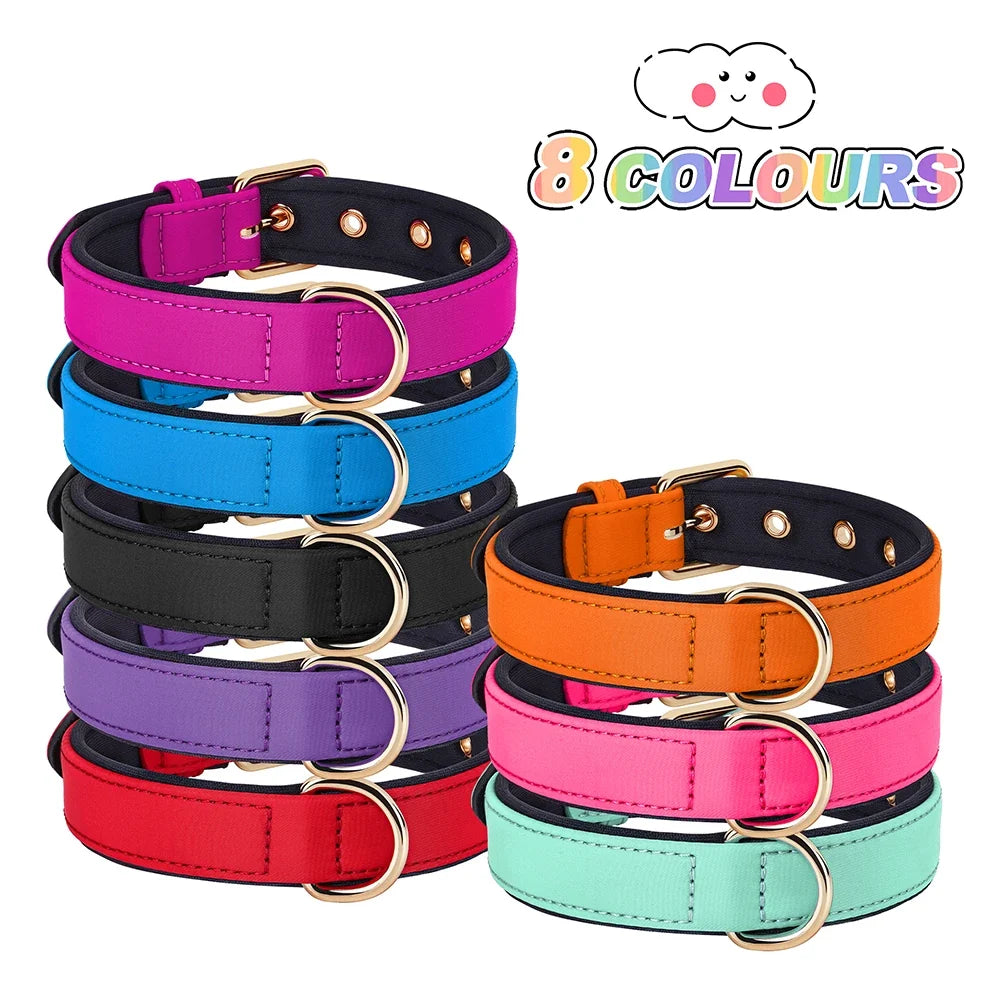 8 Colors Dog Collar Waterproof Nylon Dog - ProPawPet.com