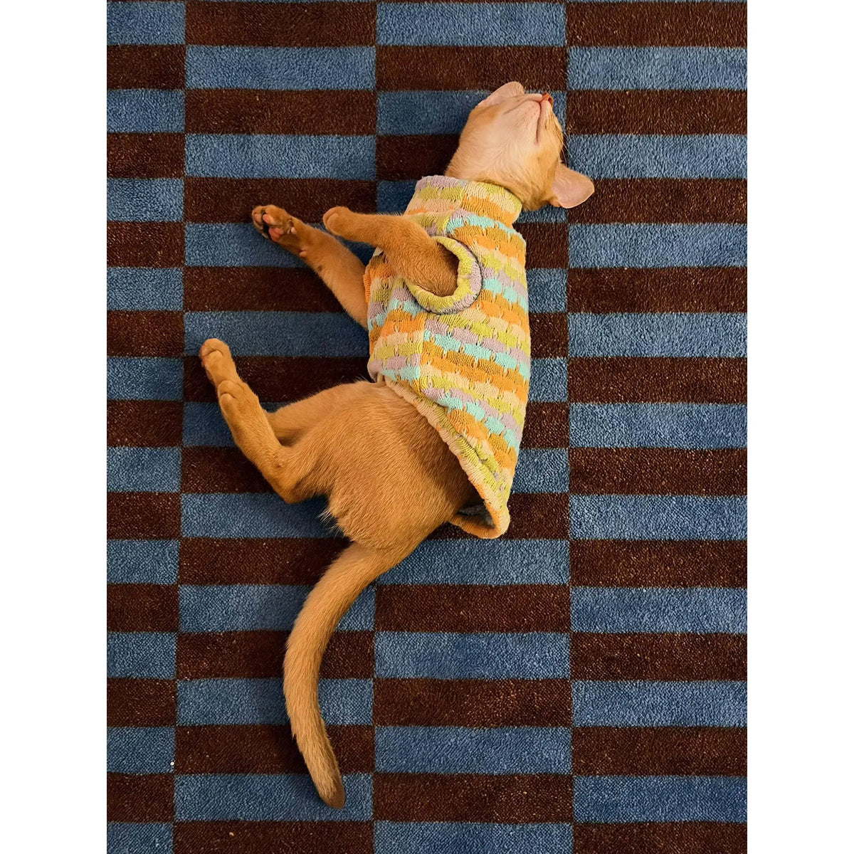 Thickened Warm Striped Sweater Vest Two Legs - ProPawPet.com